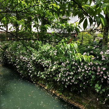龙宫洞风景区旅游景点攻略图