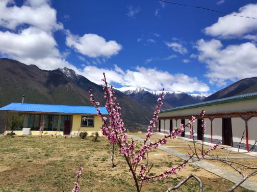 大渡卡古堡遗址