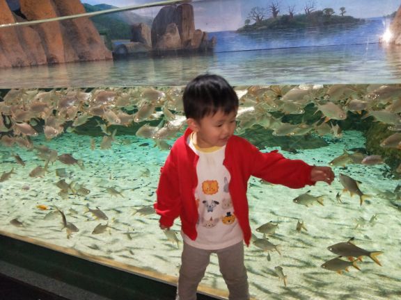 遵义冰雪海洋世界