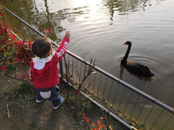 木兰花乡景区(木兰不夜城)