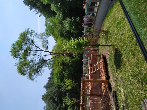 吉林省东北虎园