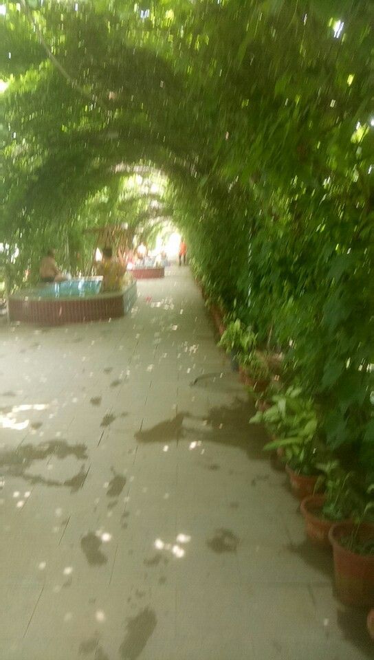 花溪地温泉生态乐园