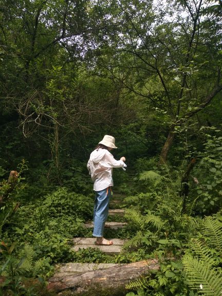 悠然山旅游度假区