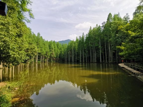 波尔登森林公园