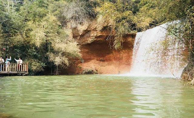 鲸鱼沟竹海风景区