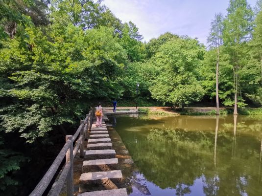 波尔登森林公园