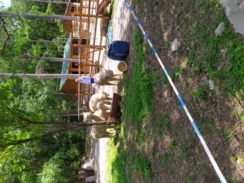 吉林省东北虎园