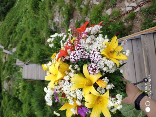 灵山自然风景区