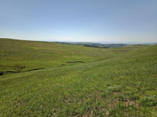 哈达门国家森林公园