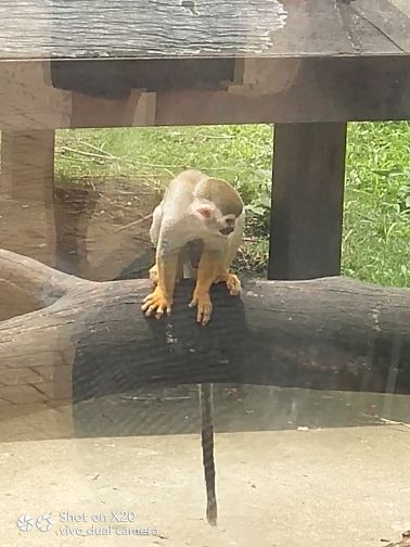 上方山森林动物世界