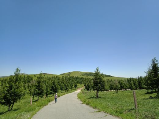 哈达门国家森林公园