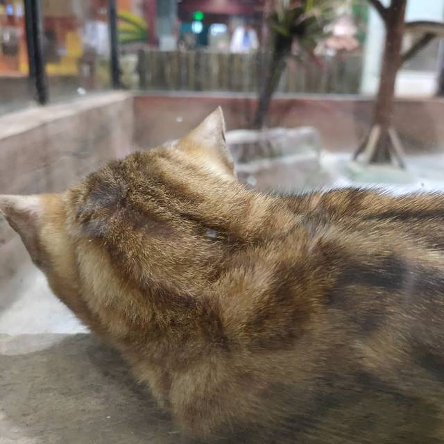 顺德南宏海洋公园