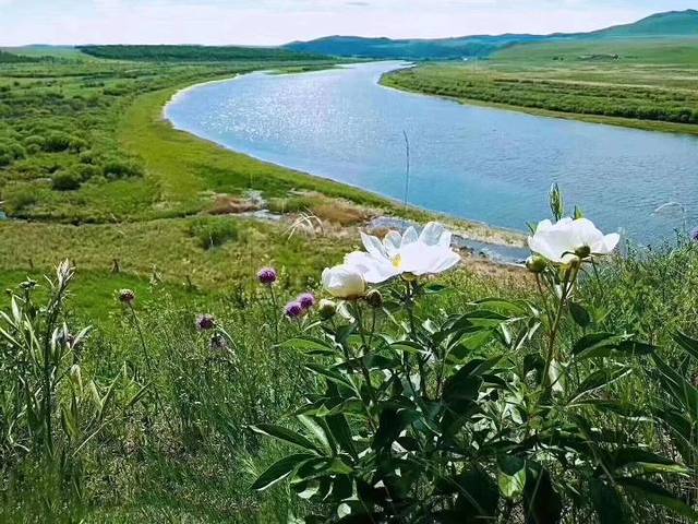 黑山头列夫湿地庄园景区