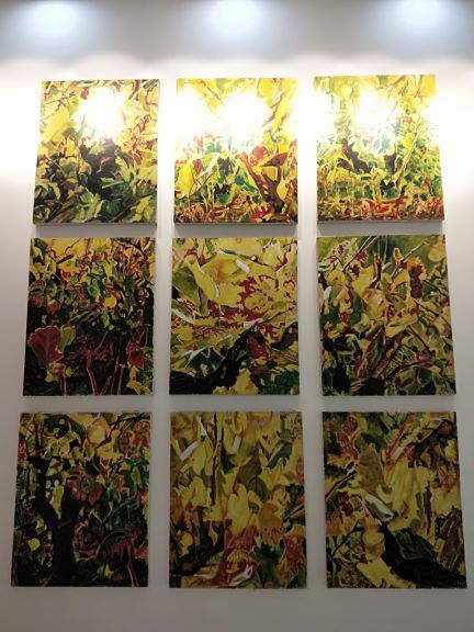 张裕卡斯特酒庄