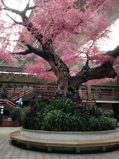 汤河假日水上乐园