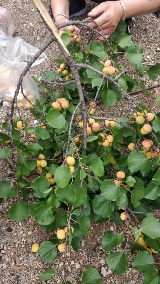 白银坨旅游风景区