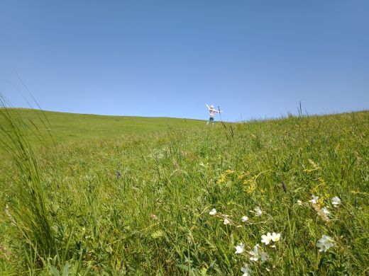 哈达门国家森林公园