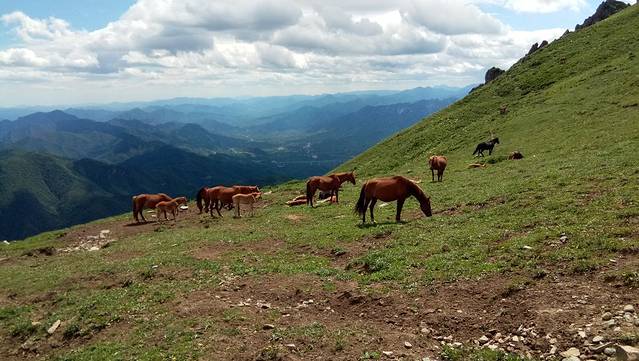灵山自然风景区