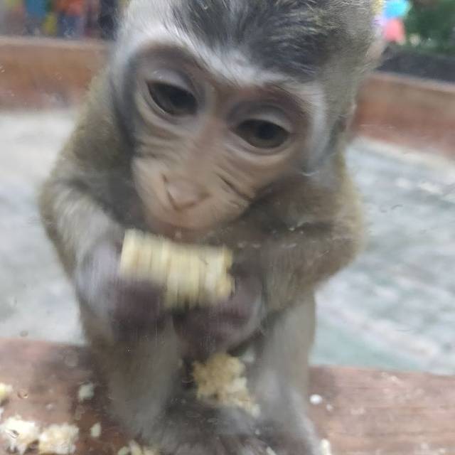 顺德南宏海洋公园