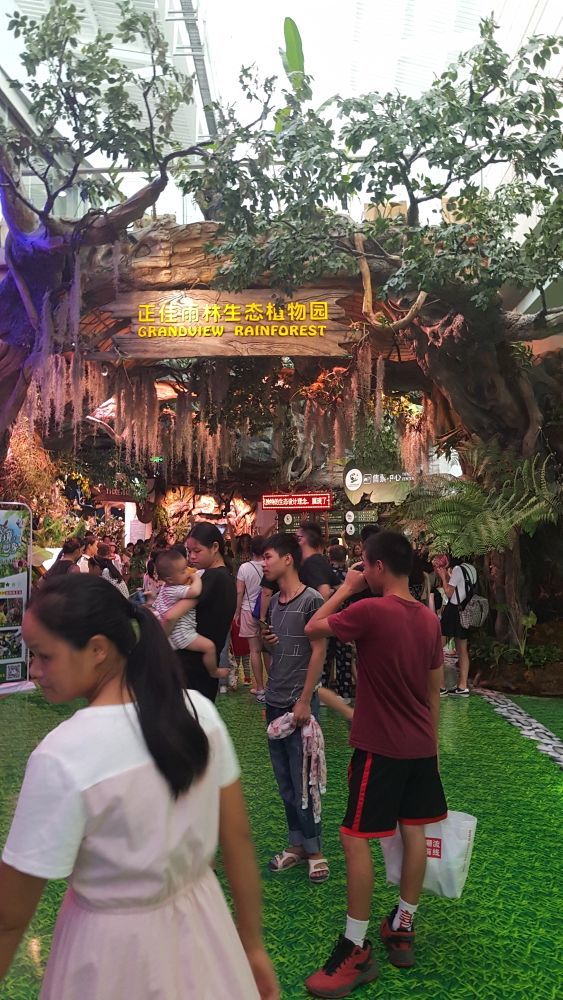 正佳雨林生态植物园