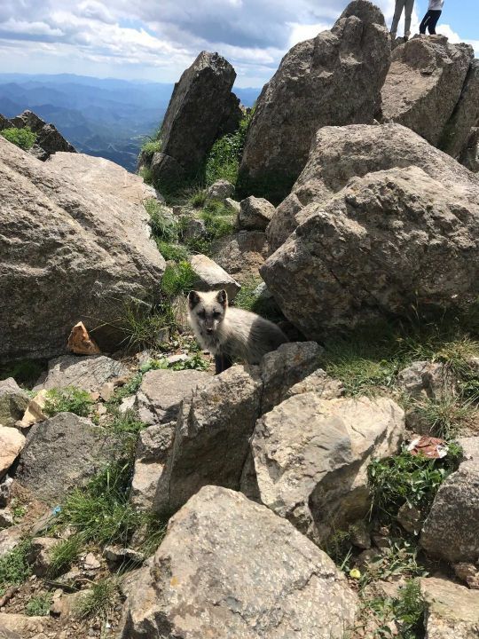 灵山自然风景区