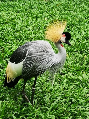 富国岛珍珠野生动物园