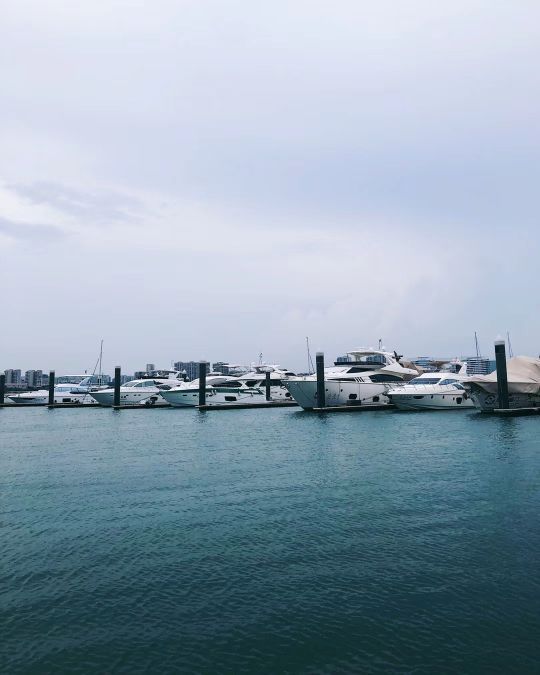 风运航旅帆船体验