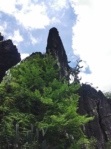 "走遍大地神州醉美多彩贵州，我们已经醉到在贵州的美色，天星桥很有特色典型的喀斯特地貌很有观赏价值_黄果树风景名胜区"的评论图片