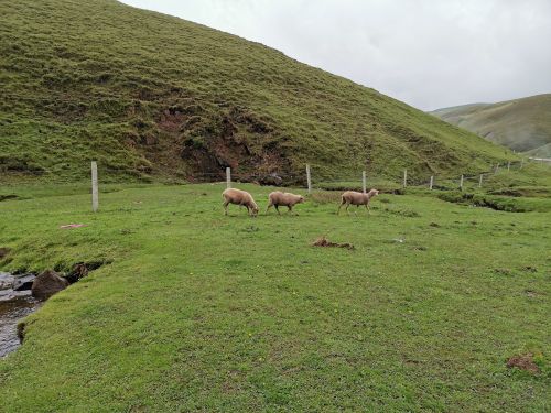大海草山国际滑雪度假区