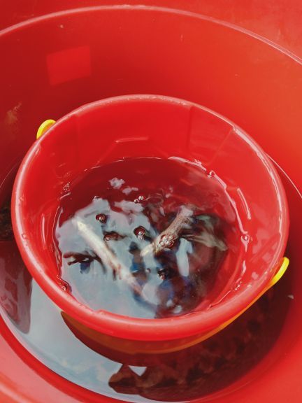 连江赶海一号亲子滩涂主题乐园