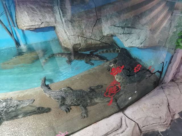 天下第一泉风景区