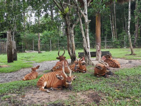 富国岛珍珠野生动物园