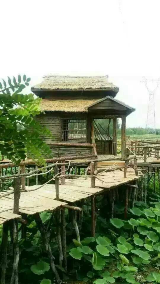 野草河湿地风景区
