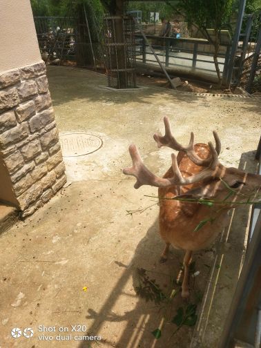 上方山森林动物世界