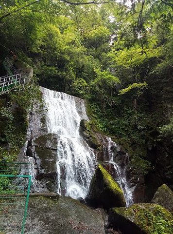 藏龍百瀑景區主要是上山看瀑布大小瀑布有幾十個沿著瀑布旁邊上山感覺