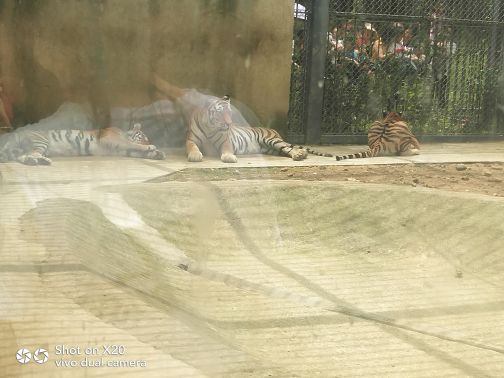 上方山森林动物世界