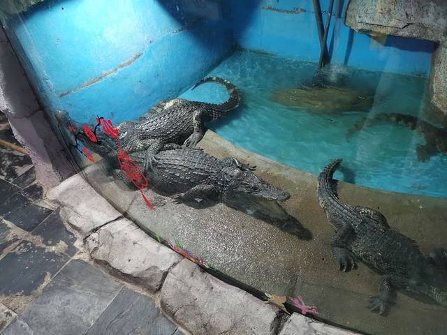 天下第一泉风景区