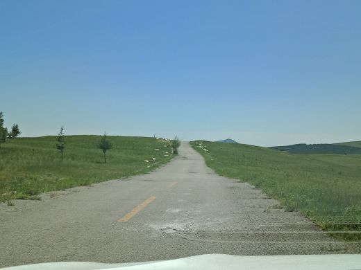 哈达门国家森林公园