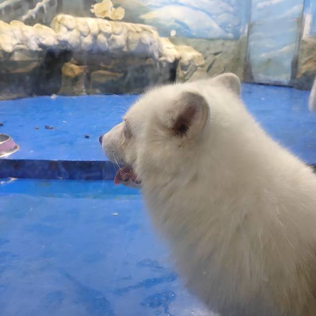 顺德南宏海洋公园