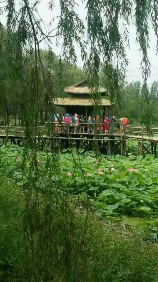 野草河湿地风景区