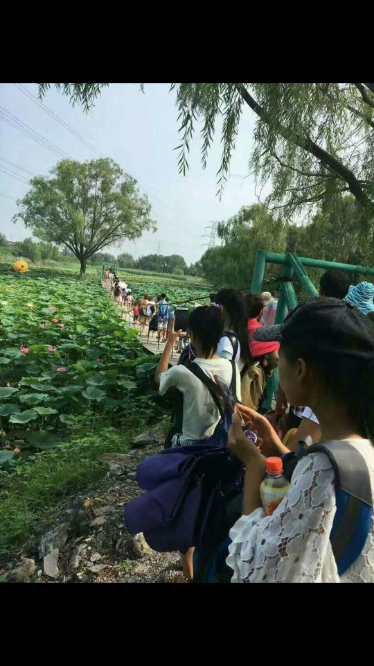 野草河湿地风景区