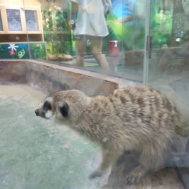 顺德南宏海洋公园