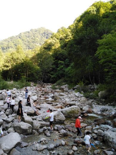 红河谷森林公园