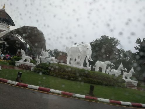 清迈夜间野生动物园