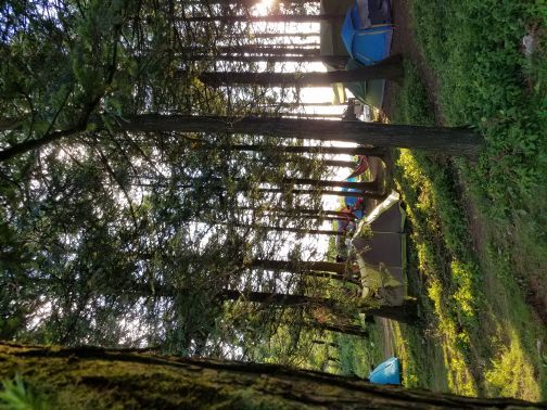 重庆千野草场景区