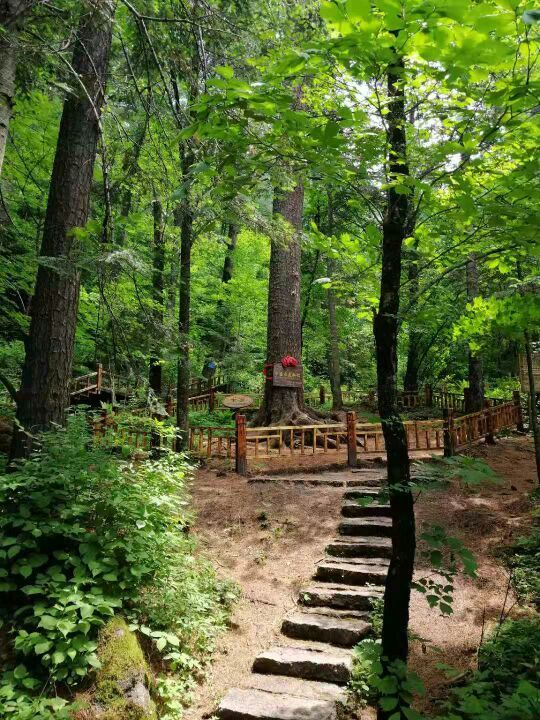 太平沟原始森林旅游区