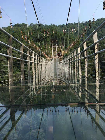 "九龙江景区玻璃栈桥非常好玩,门票一百三十八包括玻璃桥玻璃