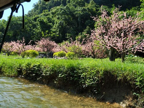 遇龙河景区旅游景点攻略图