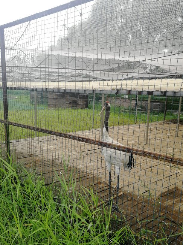 莲花湖国家城市湿地公园