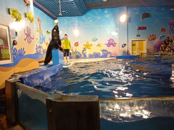 太平洋海底世界